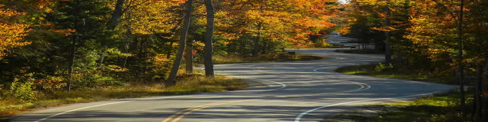 Scenic road to JavaJam